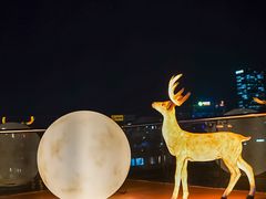 -梧桐餐厅(泉城路店)