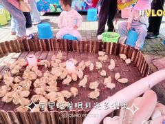 -南昌之星游乐场