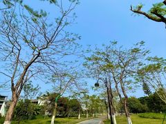 -海珠湖公园