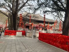 -红螺寺