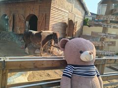 -HERRE·FARM 赫尔露营农场·团建聚会包场