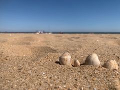 -天津东疆湾沙滩景区