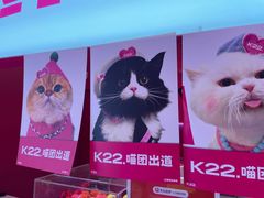 -K22.酸奶草莓(烟台芝罘店)