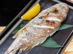 -镹·鱼料理  国产鱼使用店