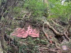 -青城山