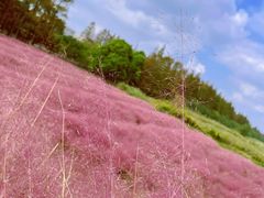 -嘉北郊野公园