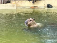 -珠海长隆海洋王国
