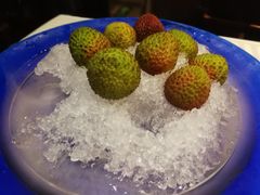 -四季民福烤鸭店(王府井灯市口店)