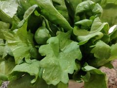 -小山城·馋嘴蛙(亚运村店)