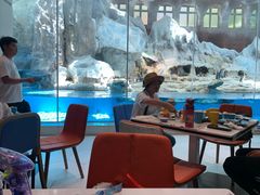 -帝企鹅自助餐厅•儿童岛•真企鹅(长隆企鹅酒店)