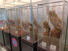 -中山市树木园