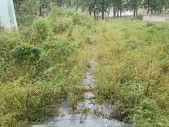 -北京园博大酒店