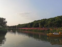 -嘉北郊野公园