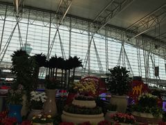 -白云机场商务旅客休息区