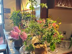 -肆海小川菜酒馆Wine Bistro (青年路店)