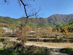 -塔川景区