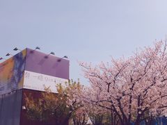 -龙美术馆(西岸馆)