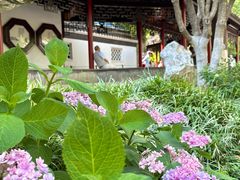 -常州古运河南大街文化旅游区-人民公园