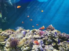 -福州罗源湾海洋世界旅游区