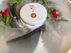 -一斗火锅·招财羊毛肚(上河城店)