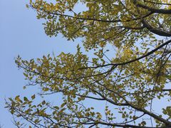 -艾溪湖湿地公园