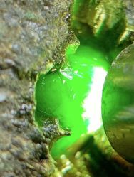 -德龙国际珠宝城