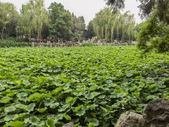 -莲池书院博物馆