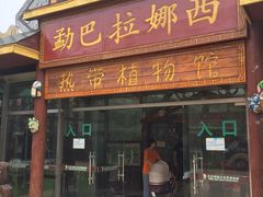-北京呀路古热带植物园