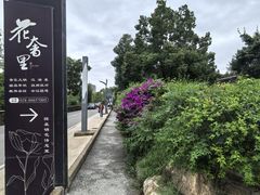 -三圣花乡旅游区