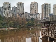 -龙头寺公园