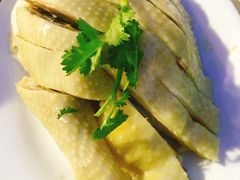 -强记湛江鸡饭店·二十七年老字号(拱北店)