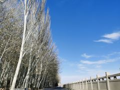 景点-敦煌莫高窟