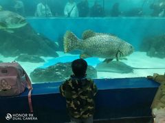 -苏州海洋馆