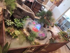 -东椰·海南椰子鸡火锅(朝阳门店)