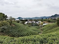 -帐篷客·溪龙茶谷度假酒店