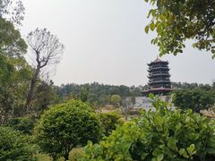 -八仙山公园