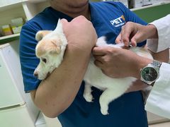 -圣宠动物医院·犬猫专科·影像中心·外科中心