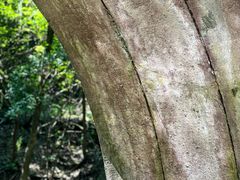 -宁波市保国寺古建筑博物馆