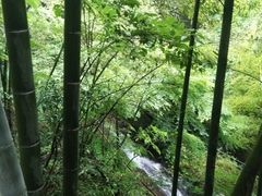 -藏龙百瀑风景区