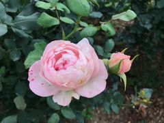 -人民公园(罗湖区)