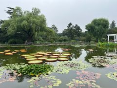 -国家植物园南园