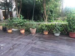 -九鼎轩脆毛肚火锅(商业街店)