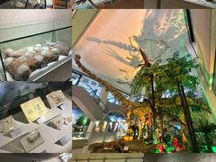 -甘肃地质博物馆