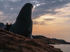 -西霞口神雕山野生动物世界