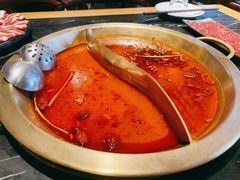 -杨家火锅(国美店)
