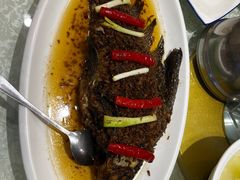 -高坎一品甲鱼庄(两河店)