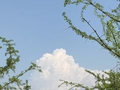 -广西师范大学(育才校区)