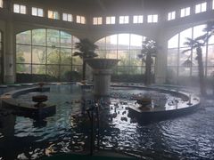-仁爱团泊湖温泉中心