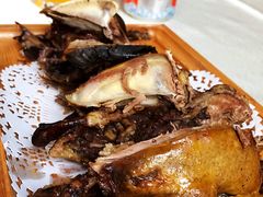 -食家鸽园