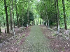 -上海海湾国家森林公园